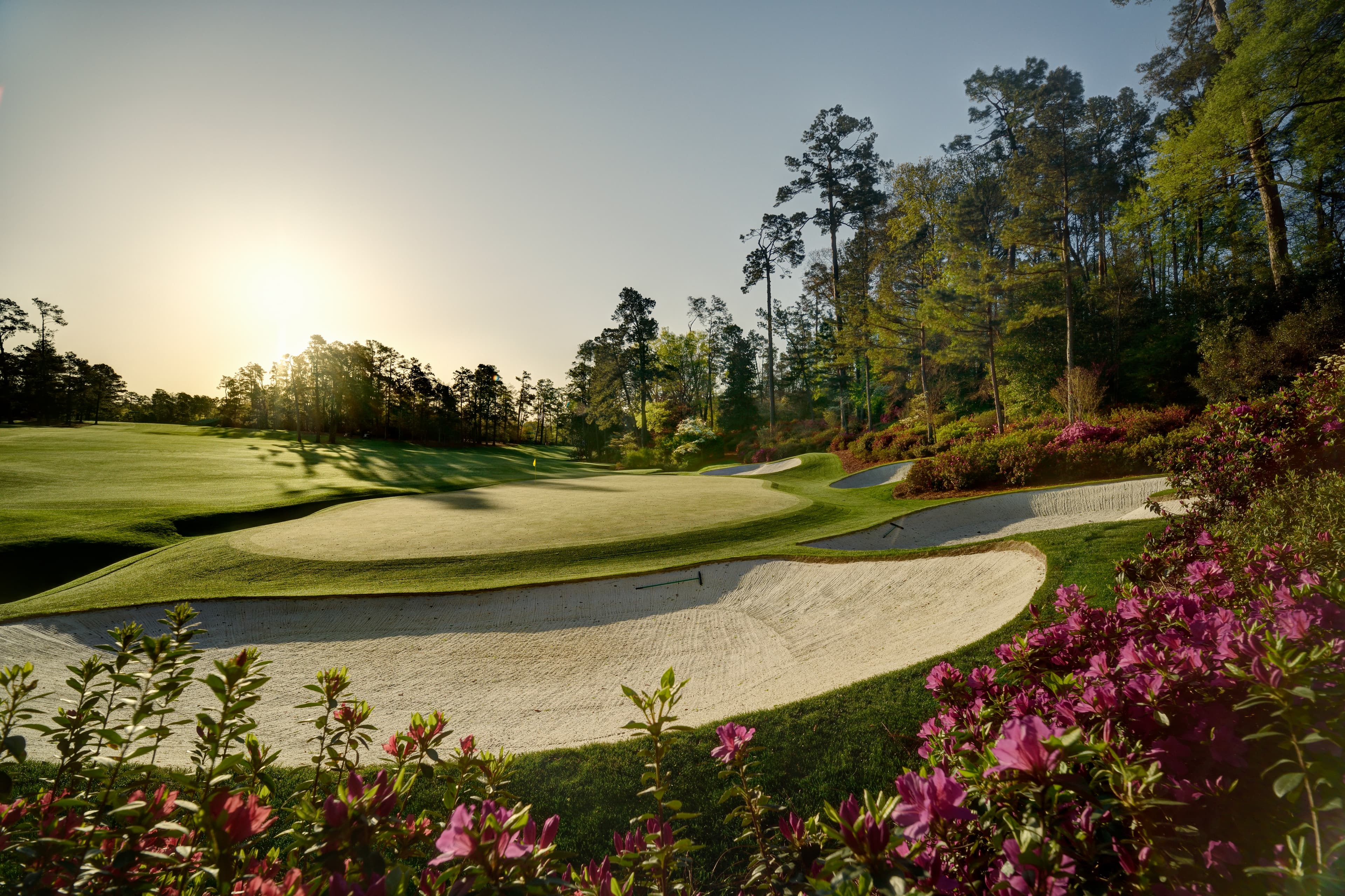 Georgia landscape behind Peach State Stays owner reviews